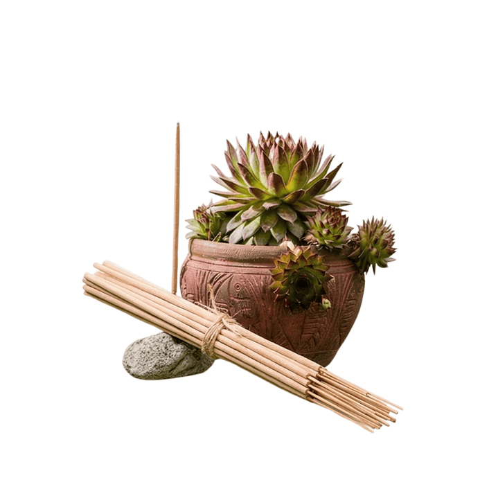 Incienso Jardín Afrodita Urania 49 cm 3 h Euroscents 25 uni 1