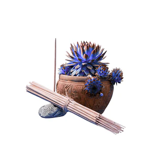 Incienso Jardín Aguamarina 49 cm 3 h Euroscents 25 uni