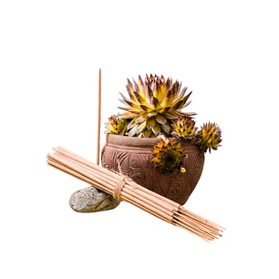 Incienso Jardín Algarroba y Mango 49 cm 3 h Euroscents 25 uni