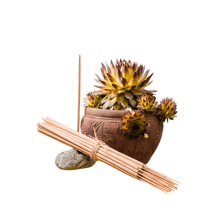 Incienso Jardín Algarroba y Mango 49 cm 3 h Euroscents 25 uni 1