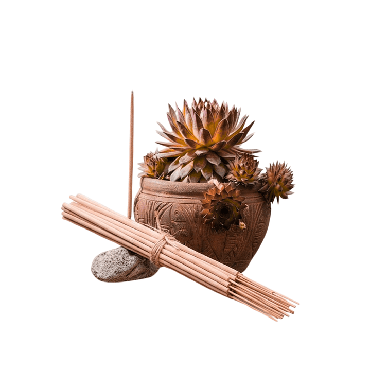 Incienso Jardín Almizcle 49 cm 3 h Euroscents 25 uni 1