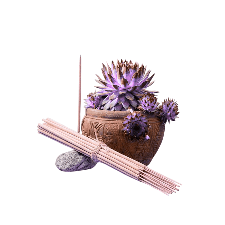 Incienso Jardín Ambiente Agradable 49 cm 3 h Euroscents 25 uni 1