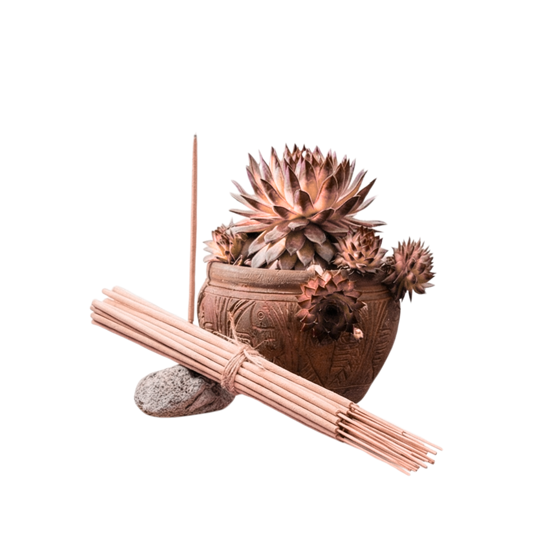 Incienso Jardín Ambiente de Amistad 49 cm 3 h Euroscents 25 uni 1