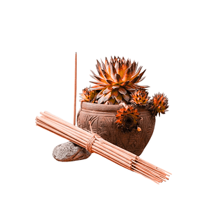 Incienso Jardín Ambiente Festivo 49 cm 3 h Euroscents 25 uni