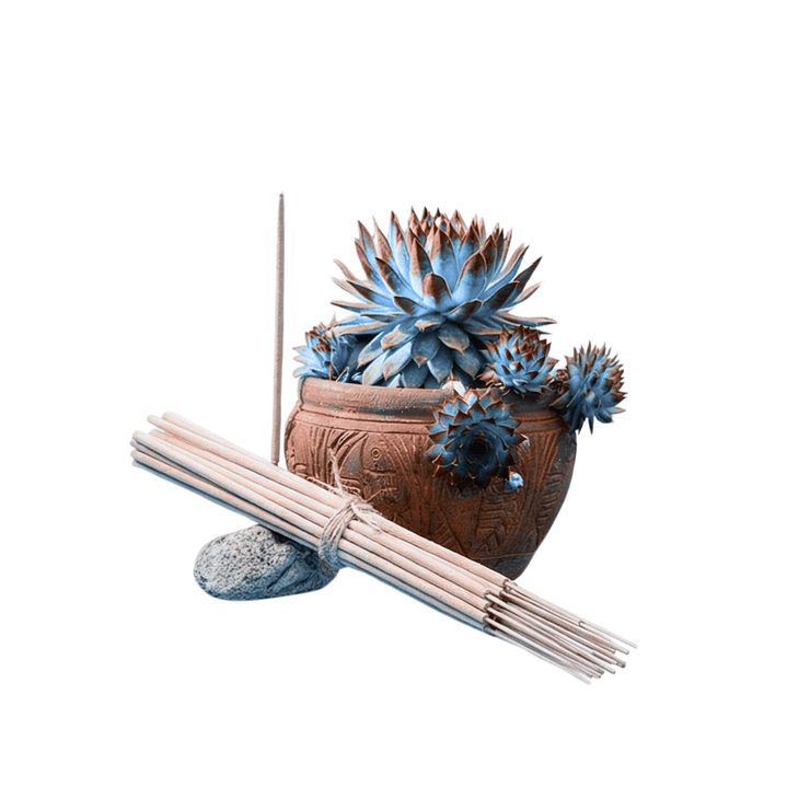 Incienso Jardín Ambiente Relajado 49 cm 3 h Euroscents 25 uni 1