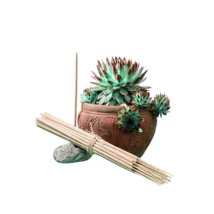 Incienso Jardín Ambiente Saludable 49 cm 3 h Euroscents 25 uni