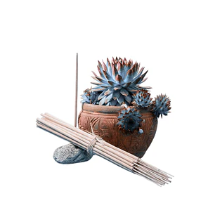 Incienso Jardín Ambiente de Lectura 49 cm 3 h Euroscents 25 uni