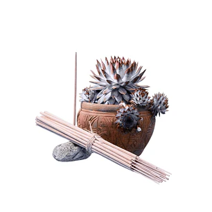 Incienso Jardín Ángel Blanco 49 cm 3 h Euroscents 25 uni