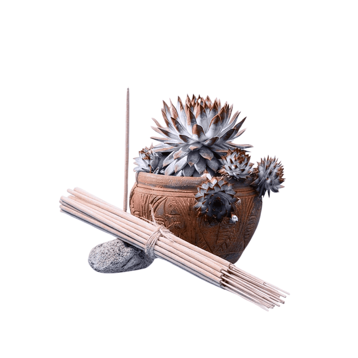 Incienso Jardín Ángel Blanco 49 cm 3 h Euroscents 25 uni 1