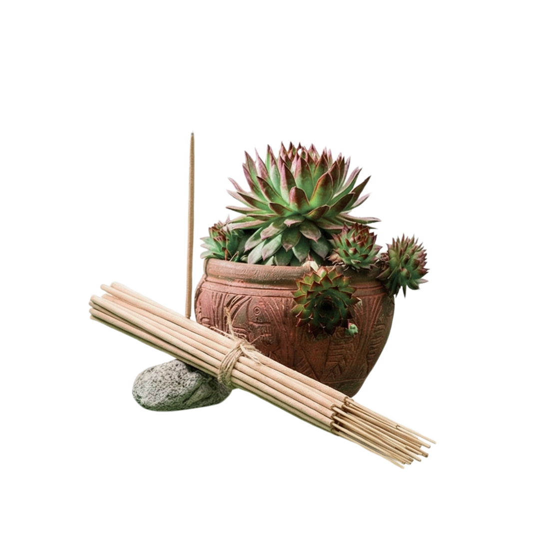 Incienso Jardín Angelica Raíz 49 cm 3 h Euroscents 25 uni 1