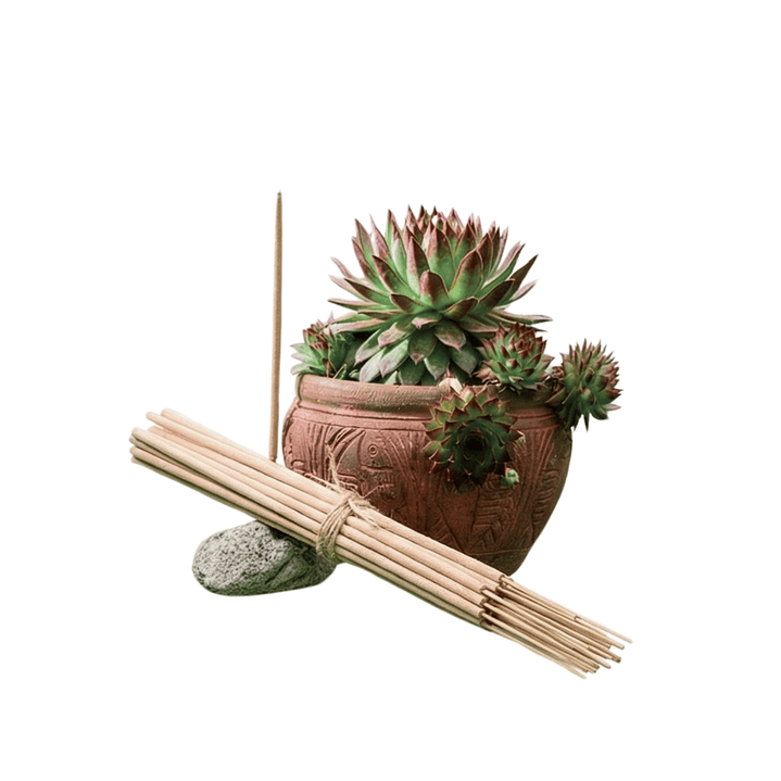 Incienso Jardín Angelica Raíz 49 cm 3 h Euroscents 25 uni 1