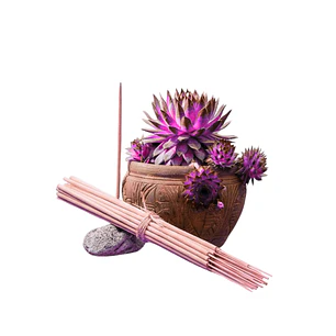 Incienso Jardín Antitabaco 49 cm 3 h Euroscents 25 uni