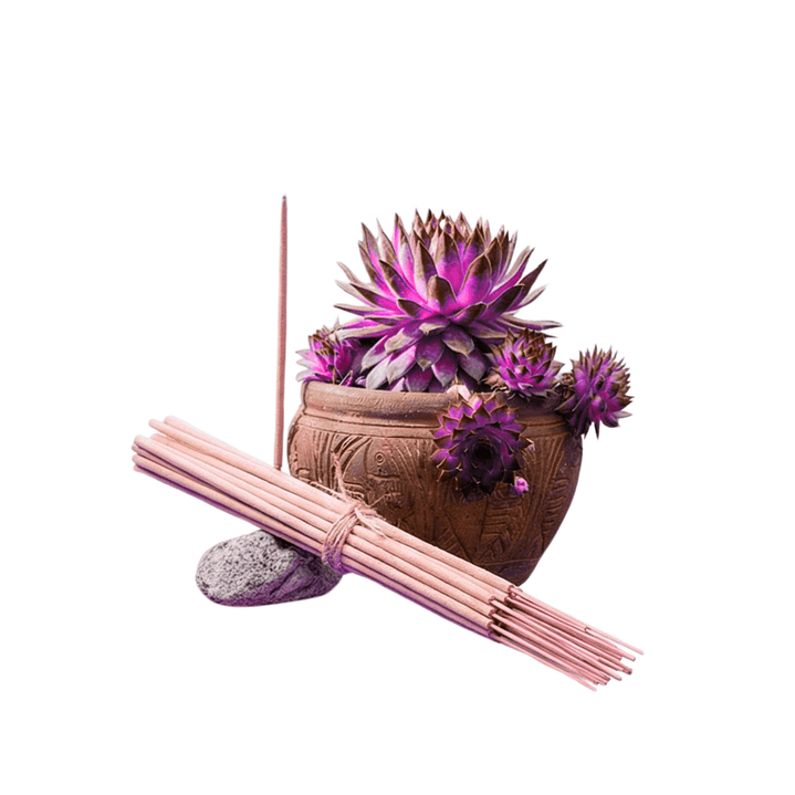 Incienso Jardín Antitabaco 49 cm 3 h Euroscents 25 uni 1