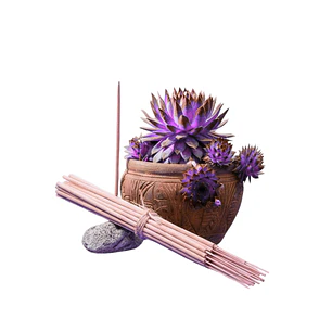 Incienso Jardín Arándano y Pera 49 cm 3 h Euroscents 25 uni