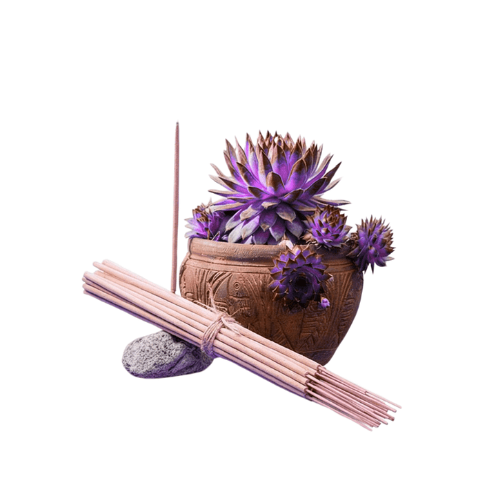 Incienso Jardín Arándano y Pera 49 cm 3 h Euroscents 25 uni 1