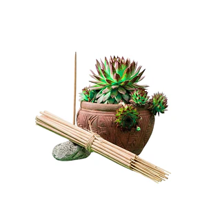 Incienso Jardín Bambú 49 cm 3 h Euroscents 25 uni