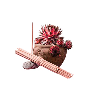 Incienso Jardín Bayas Rojas 49 cm 3 h Euroscents 25 uni