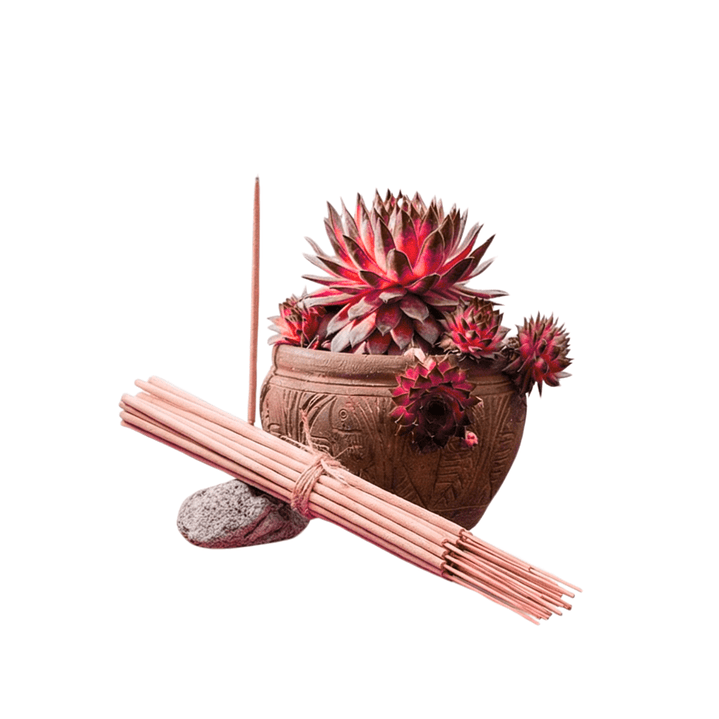 Incienso Jardín Bayas Rojas 49 cm 3 h Euroscents 25 uni 1