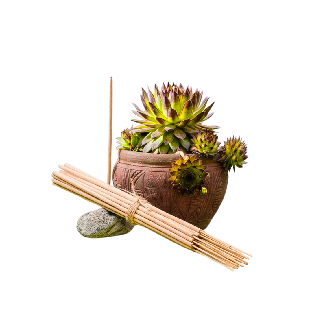 Incienso Jardín Bergamota 49 cm 3 h Euroscents 25 uni 1