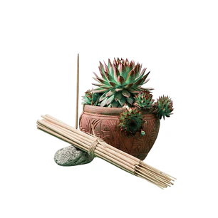 Incienso Jardín Cánnabis 49 cm 3 h Euroscents 25 uni