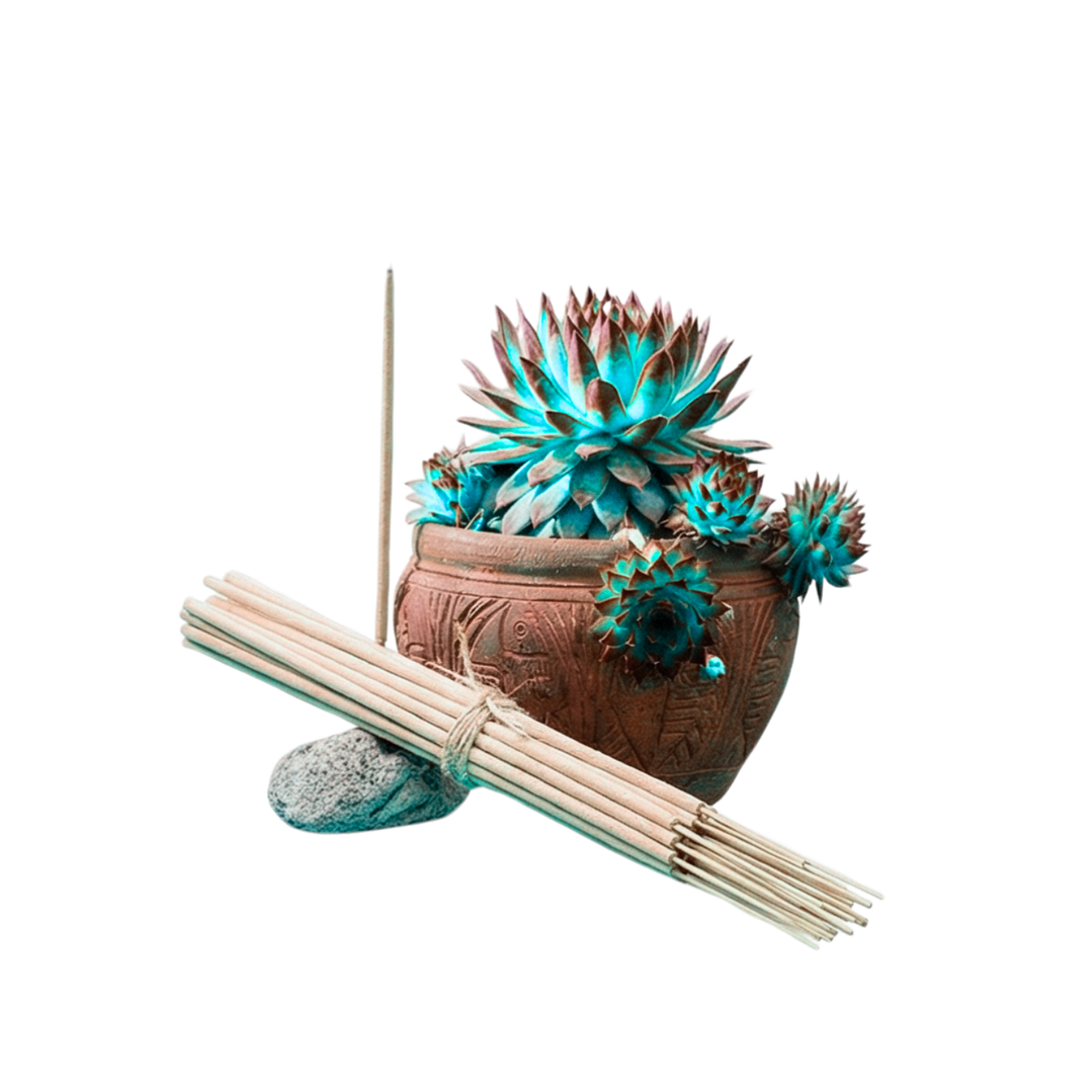 Incienso Jardín Caribe Dulce 49 cm 3 h Euroscents 25 uni 1