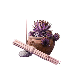 Incienso Jardín Cassis 49 cm 3 h Euroscents 25 uni