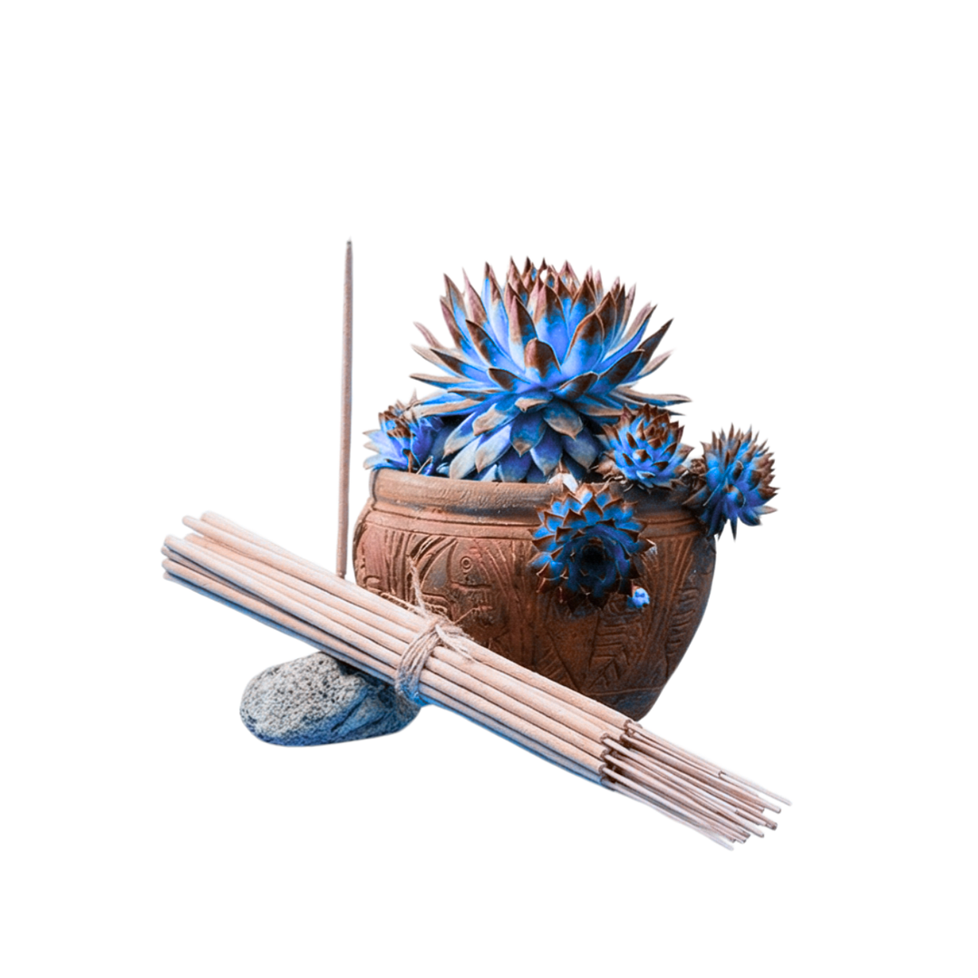 Incienso Jardín Cielo Azul 49 cm 3 h Euroscents 25 uni 1