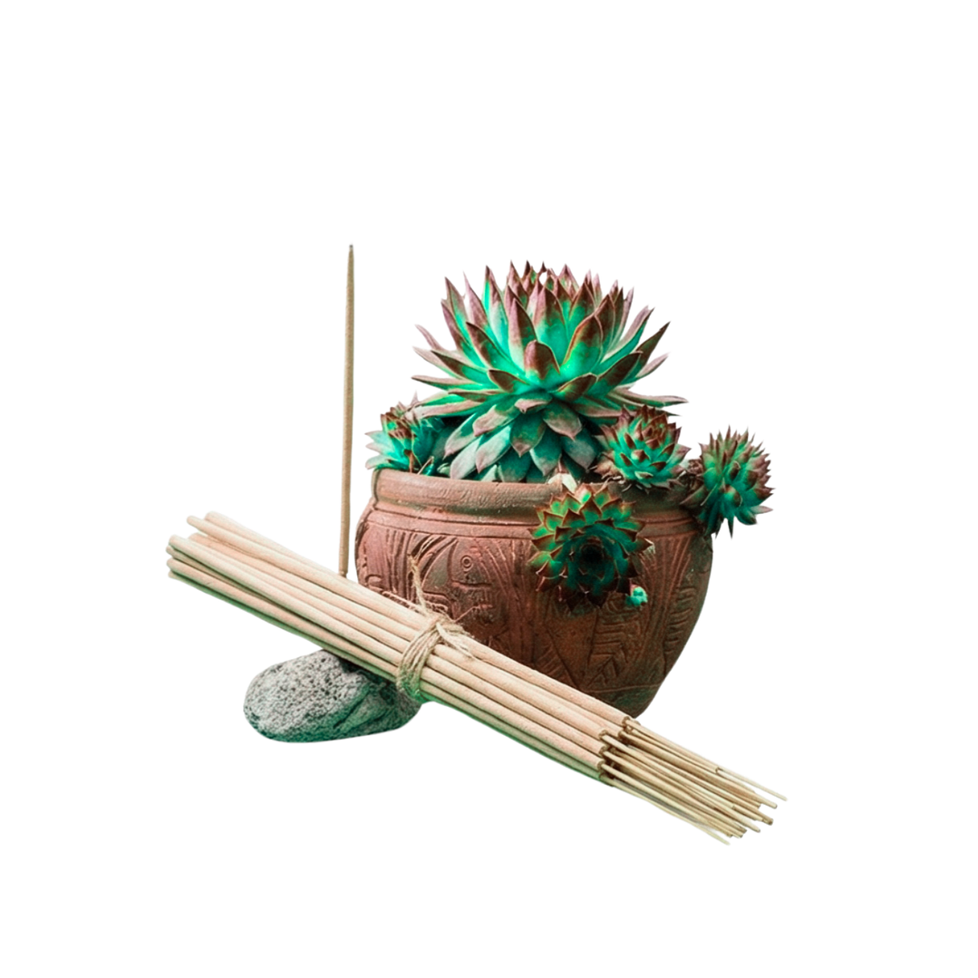 Incienso Jardín 5 Elementos 49 cm 3 h Euroscents 25 uni 1