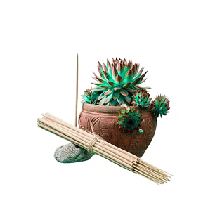 Incienso Jardín 5 Elementos 49 cm 3 h Euroscents 25 uni