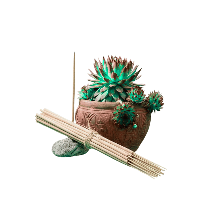 Incienso Jardín 5 Elementos 49 cm 3 h Euroscents 25 uni 1