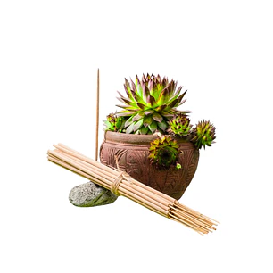 Incienso Jardín Citronela 49 cm 3 h Euroscents 25 uni