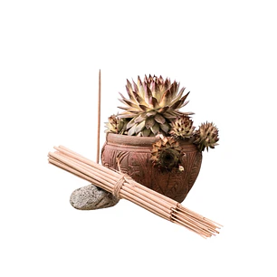 Incienso Jardín Coco Anisé 49 cm 3 h Euroscents 25 uni