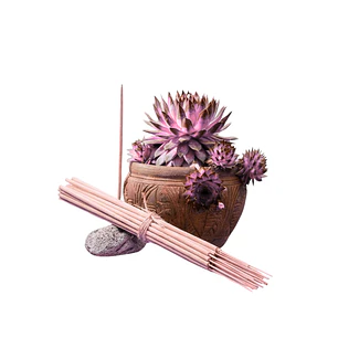 Incienso Jardín Dama de Oriente 49 cm 3 h Euroscents 25 uni