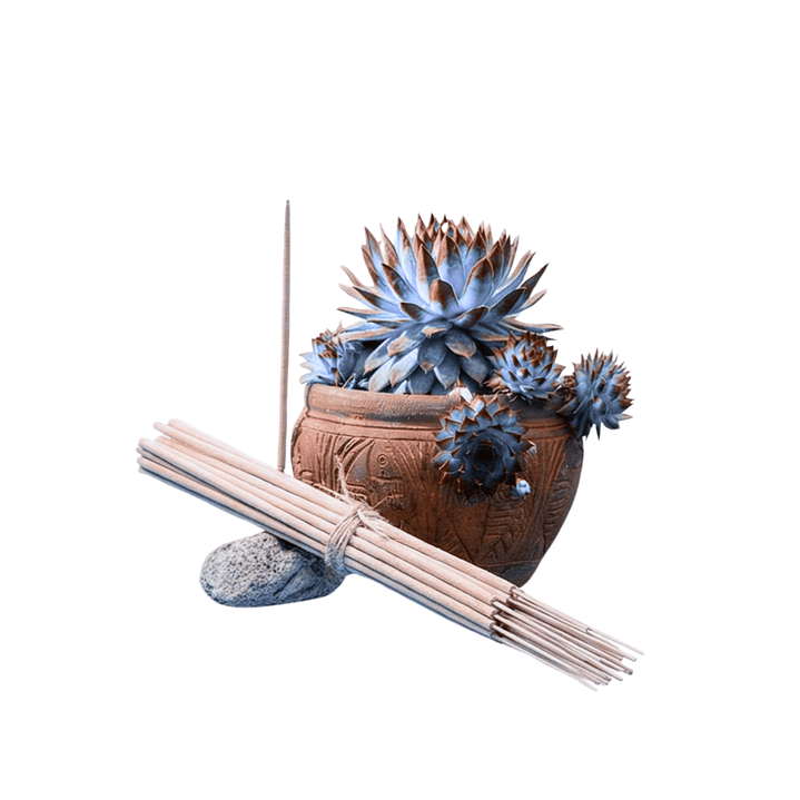 Incienso Jardín Dulces Sueños 49 cm 3 h Euroscents 25 uni 1