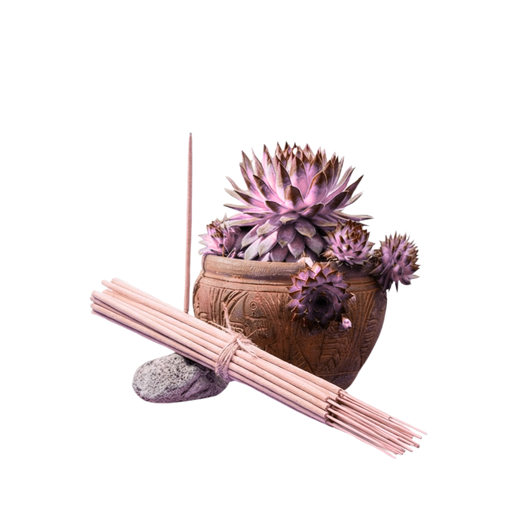 Incienso Jardín Flor de Loto 49 cm 3 h Euroscents 25 uni 1