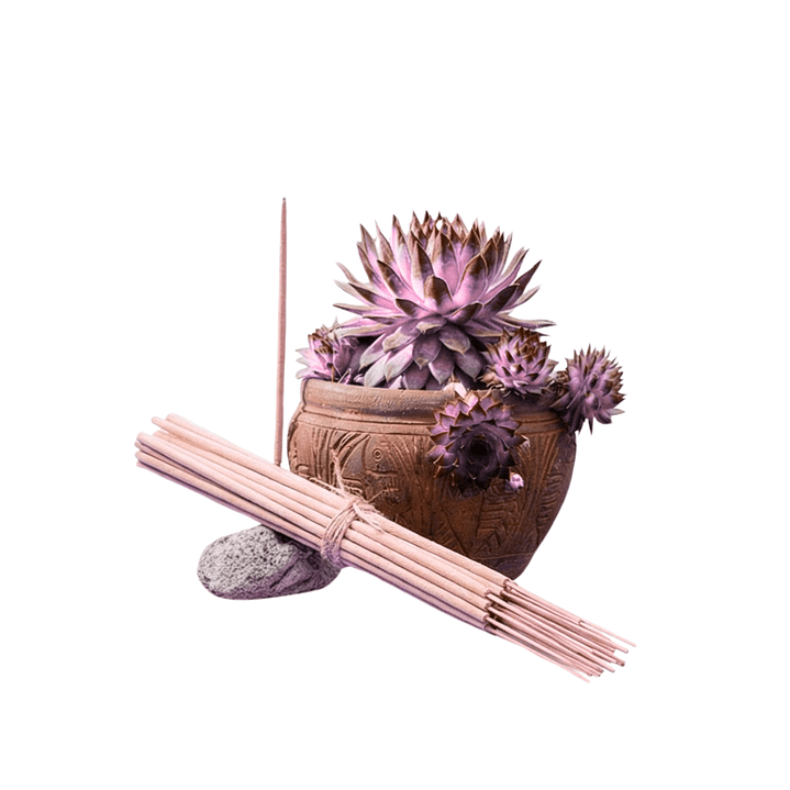 Incienso Jardín Flor de Loto 49 cm 3 h Euroscents 25 uni 1