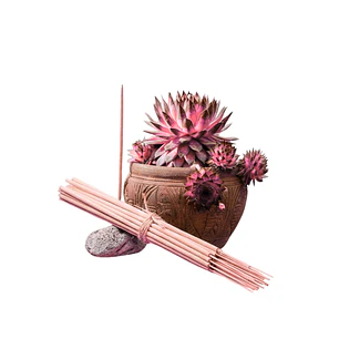 Incienso Jardín Fresa 49 cm 3 h Euroscents 25 uni