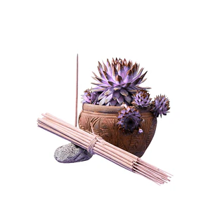 Incienso Jardín Guía Espiritual 49 cm 3 h Euroscents 25 uni