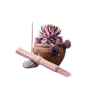 Incienso Jardín Higo y Azafrán 49 cm 3 h Euroscents 25 uni