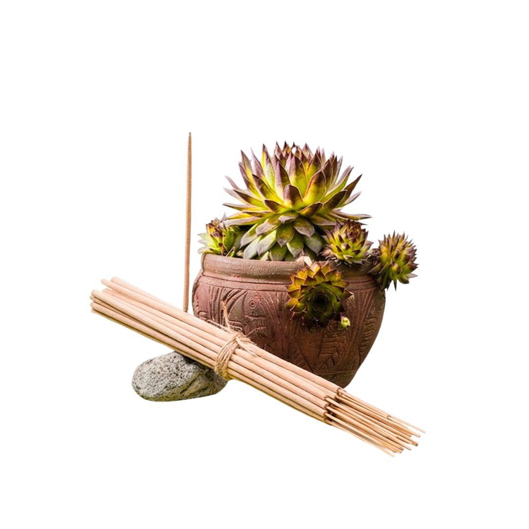 Incienso Jardín Jazmín y Limón 49 cm 3 h Euroscents 25 uni 1