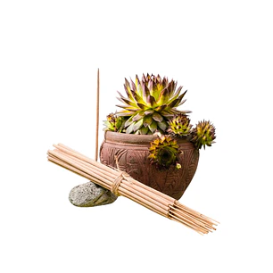 Incienso Jardín Jazmín y Limón 49 cm 3 h Euroscents 25 uni