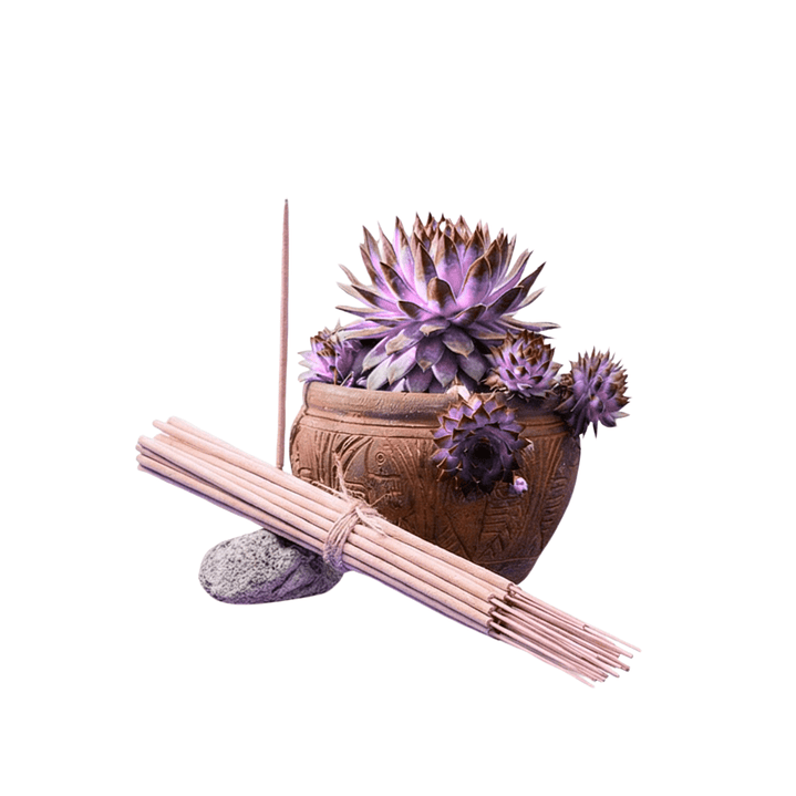 Incienso Jardín Lavanda 49 cm 3 h Euroscents 25 uni 1