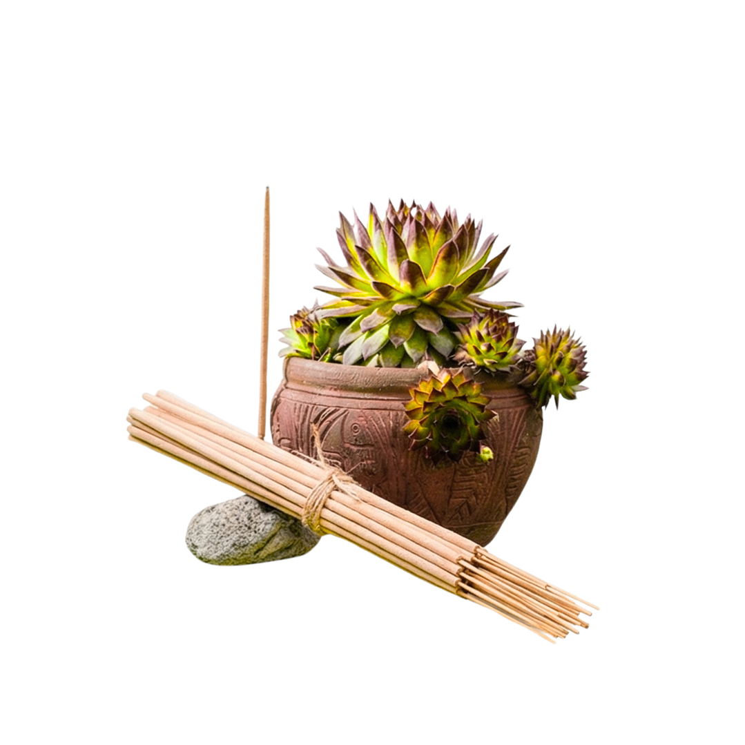 Incienso Jardín Limón 49 cm 3 h Euroscents 25 uni 1