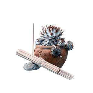 Incienso Jardín Limpio 49 cm 3 h Euroscents 25 uni