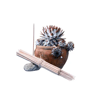 Incienso Jardín Lino Fresco 49 cm 3 h Euroscents 25 uni