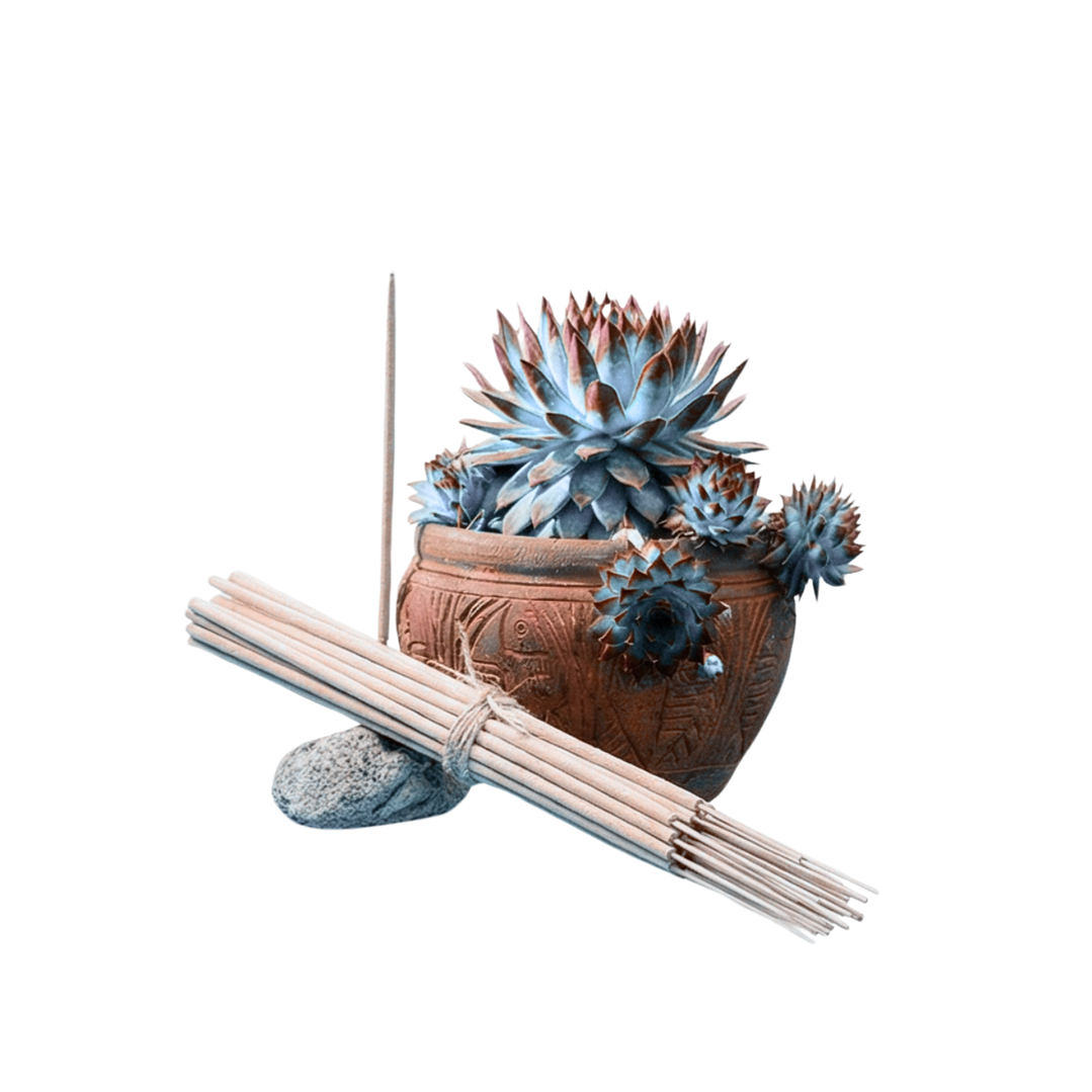 Incienso Jardín Lluvia 49 cm 3 h Euroscents 25 uni 1