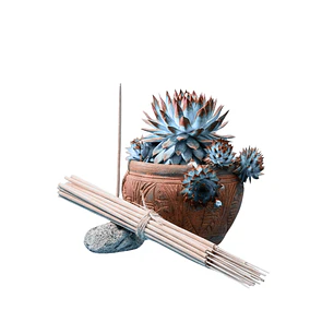 Incienso Jardín Lluvia 49 cm 3 h Euroscents 25 uni