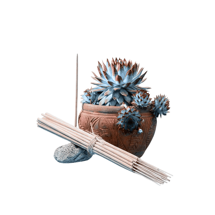 Incienso Jardín Lluvia 49 cm 3 h Euroscents 25 uni 1