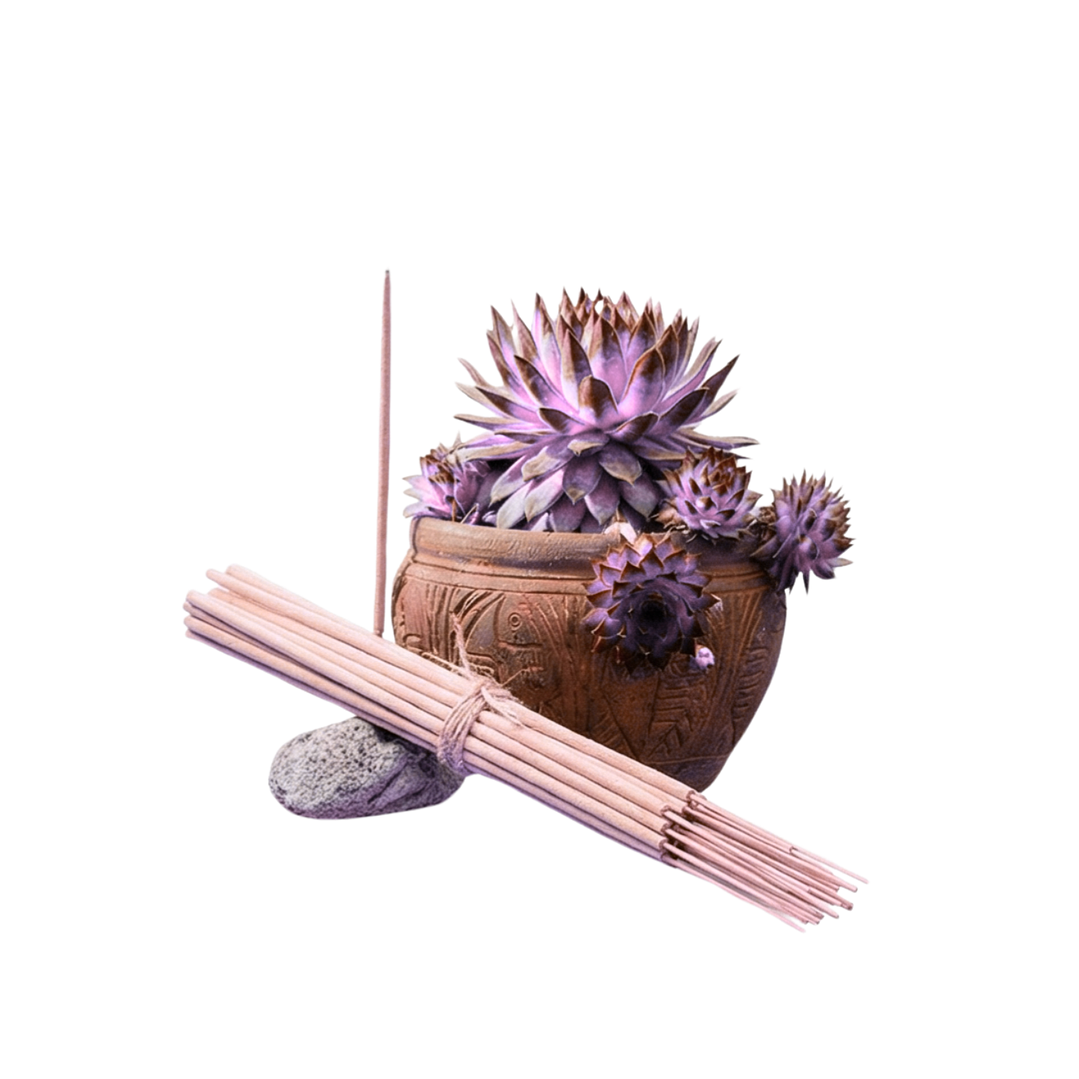 Incienso Jardín Magic 49 cm 3 h Euroscents 25 uni 1