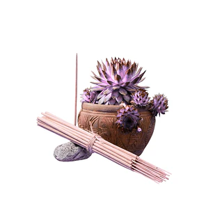 Incienso Jardín Magic 49 cm 3 h Euroscents 25 uni